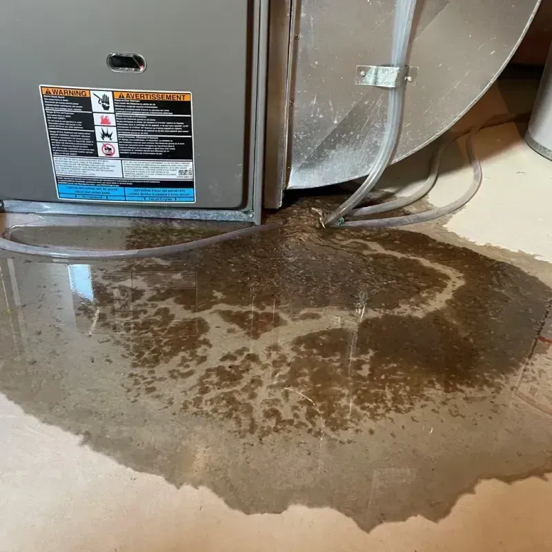 Appliance Leak Cleanup in Carbon County, PA